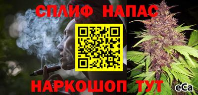 ешки Дубна