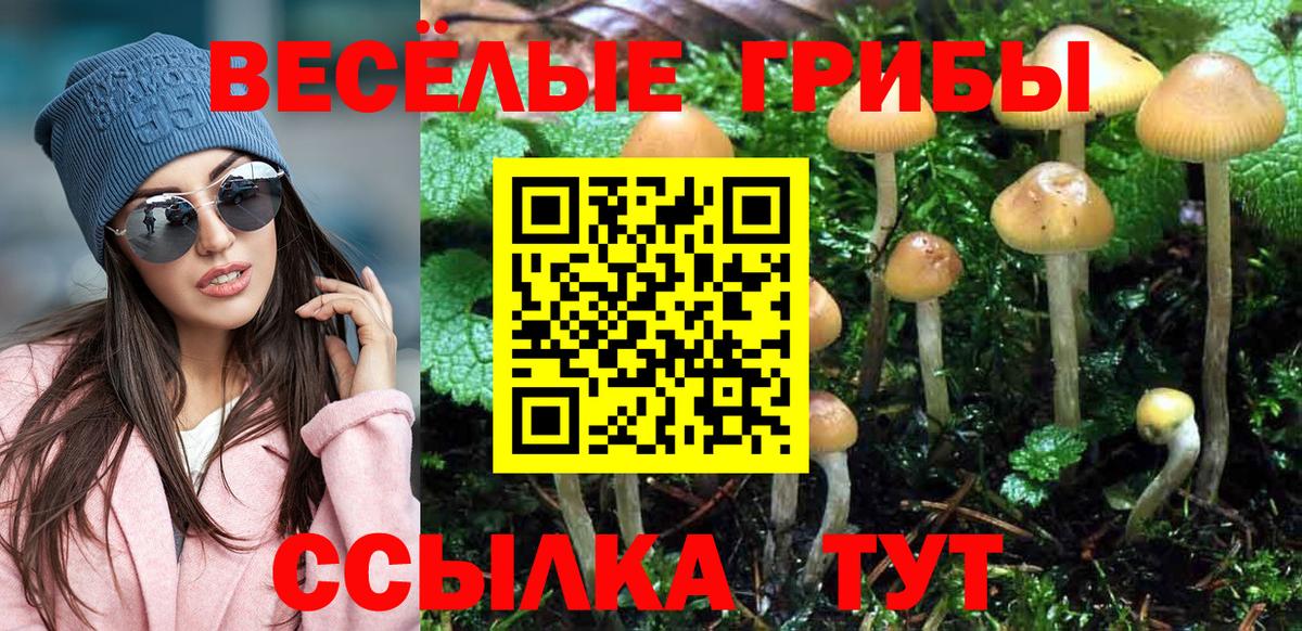 Псилоцибиновые грибы Psilocybine cubensis  Вход с VPN  Невинномысск 